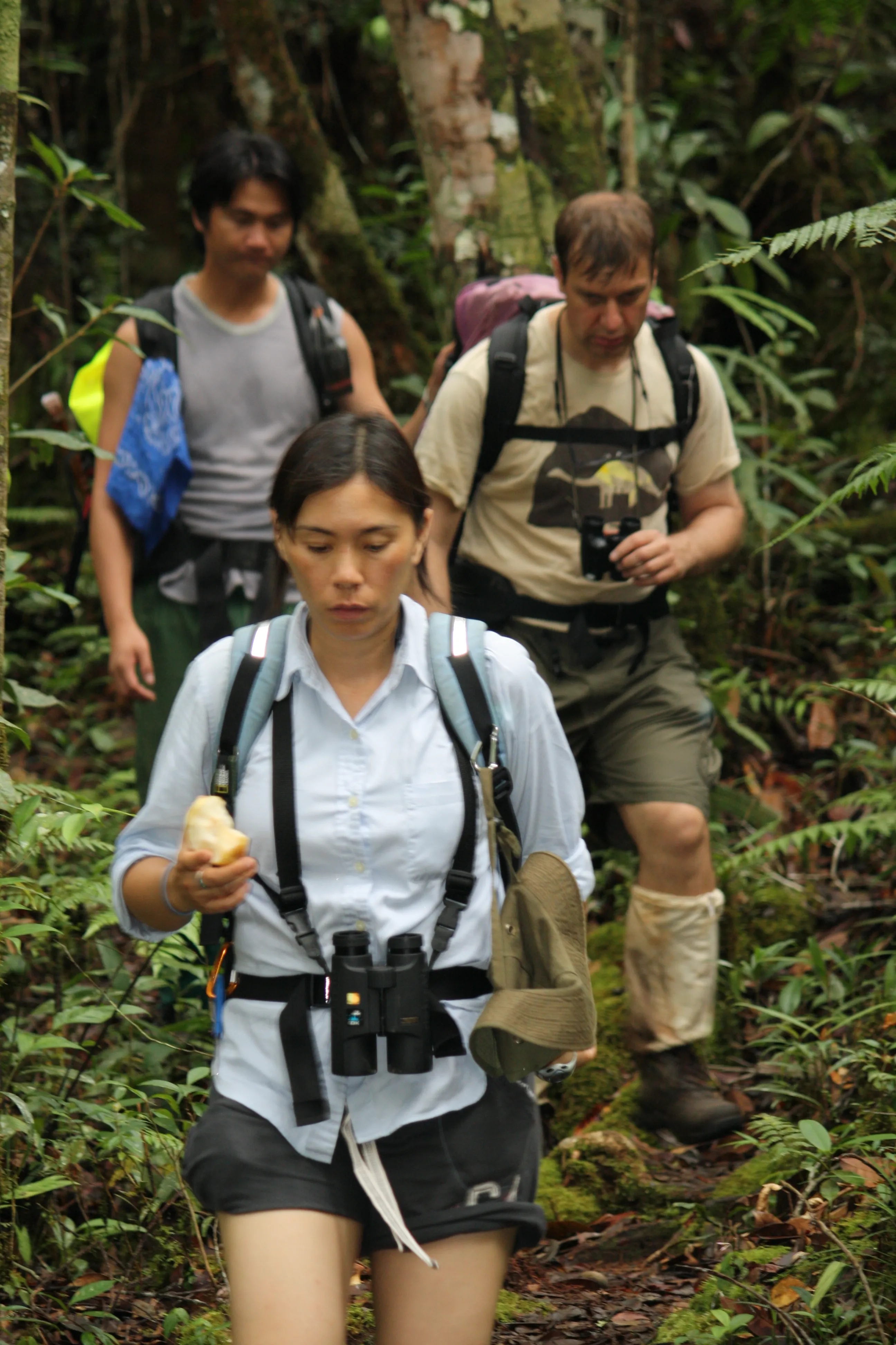 Why Most Local Tour Experts Stay Invisible Online